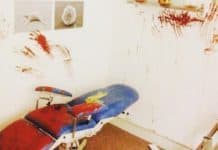 Fox In a Box, le Laboratoire Zombie Fox In A Box - laboratoire zombie