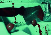 LeavinRoom, Instinct de Survie Leavinroom - instinct de survie