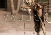 L’Antichambre, Vaudou Antichambre - Vaudou
