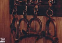 The Skeleton Key – Wanted The Skeleton Key - Wanted