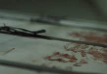 Wake Up, Psychose Wake Up - psychose