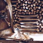 The Game, Catacombes the Game - Catacombes 1