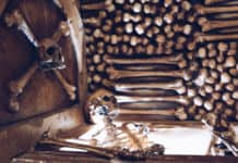 The Game, Catacombes the Game - Catacombes 1