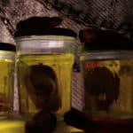 Engrenage, Sortir ou Mourir Engrenage - sortir ou mourir