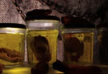 Engrenage, Sortir ou Mourir Engrenage - sortir ou mourir