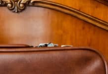 Le voleur de la suite 701 – Novotel Paris Montparnasse Novotel - voleur suite 701