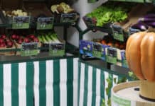 Room Rush, La Supérette Room Rush - la supérette