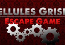 Cellules Grises – Evreux Cellules Grises - evreux